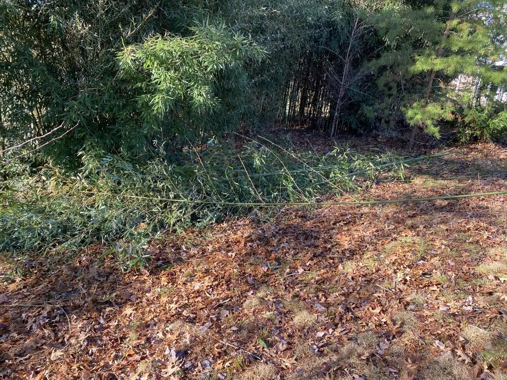 Reliable garden landscaping for homes across Leesburg, VA - MTS-Pro Tree Service & Landscaping