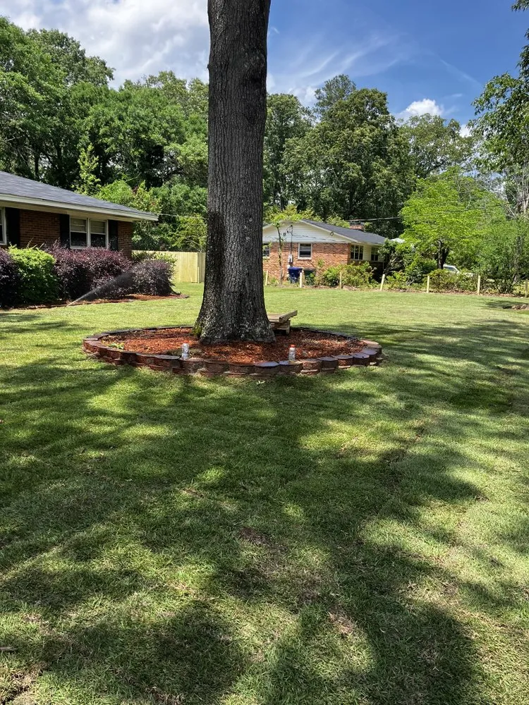 Local yard cleanup service for year-round maintenance across Windsor, SC - M&T’s Sprinkler