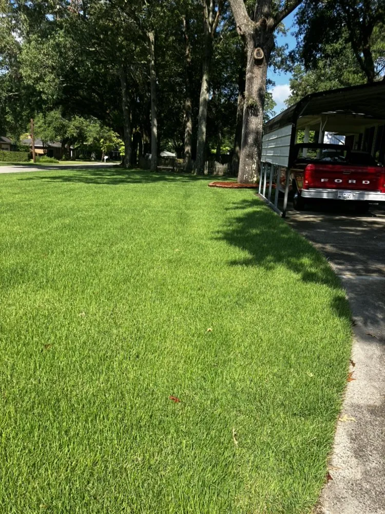 Expert landscaping services in Windsor, SC by M&T’s Sprinkler
