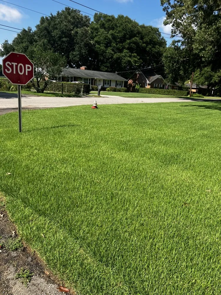 Local residential landscaping experts serving Windsor, SC - M&T’s Sprinkler
