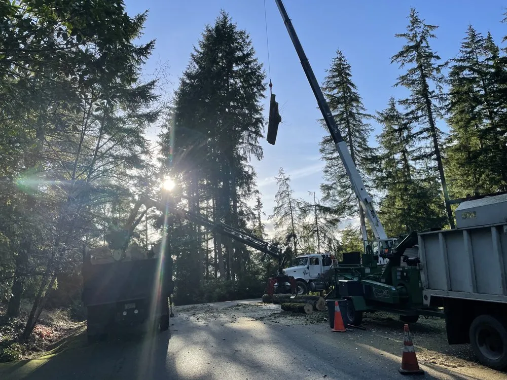 Expert garden landscaping in Issaquah, WA - MTS Tree & Landscape