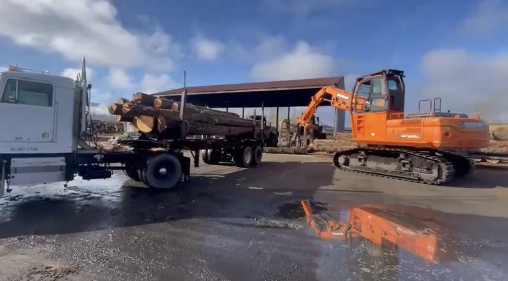 Trusted outdoor landscaping for homes in Issaquah, WA by MTS Tree & Landscape