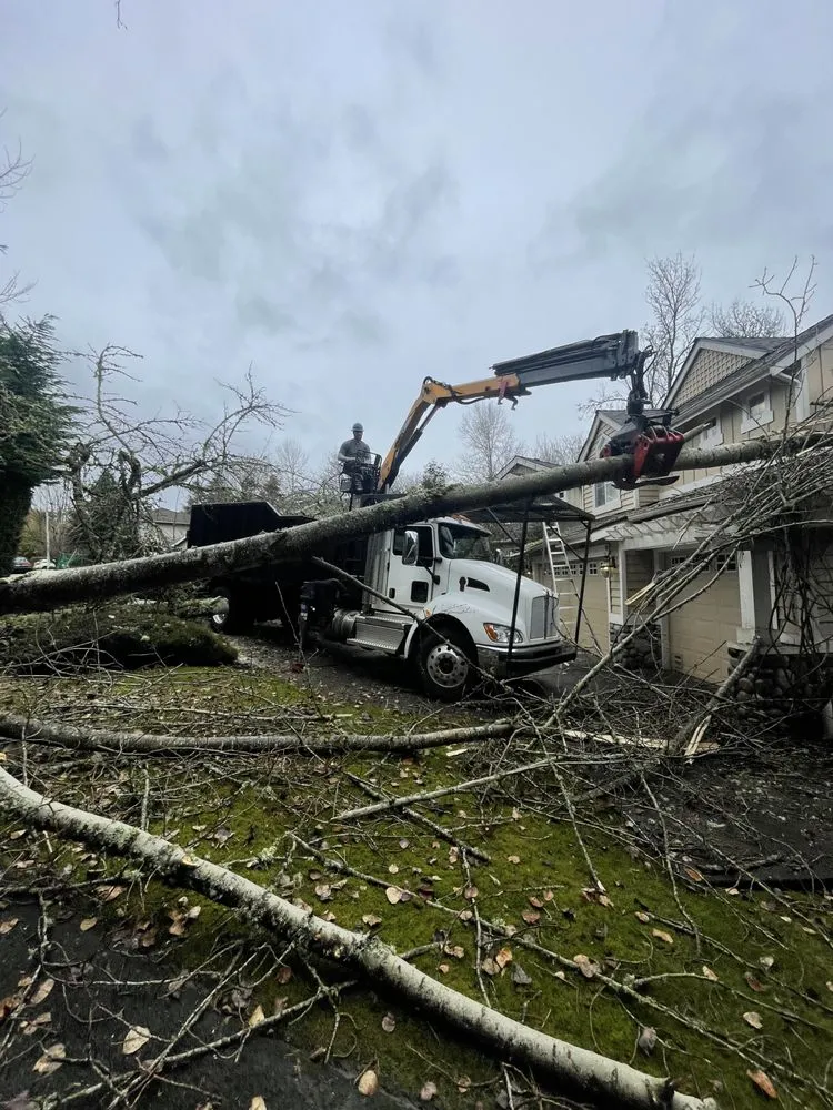 Top-rated residential landscaping in Issaquah, WA by MTS Tree & Landscape