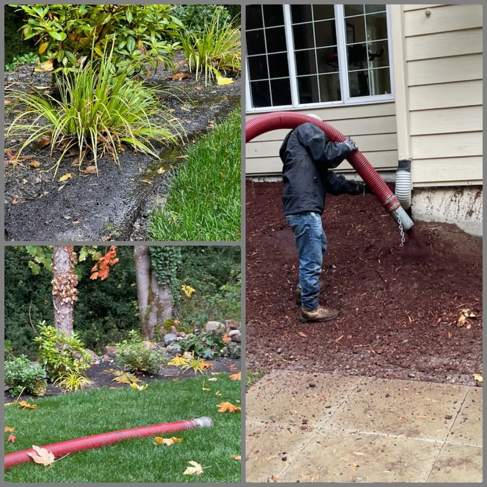 Professional landscaping services experts serving Issaquah, WA - MTS Tree & Landscape