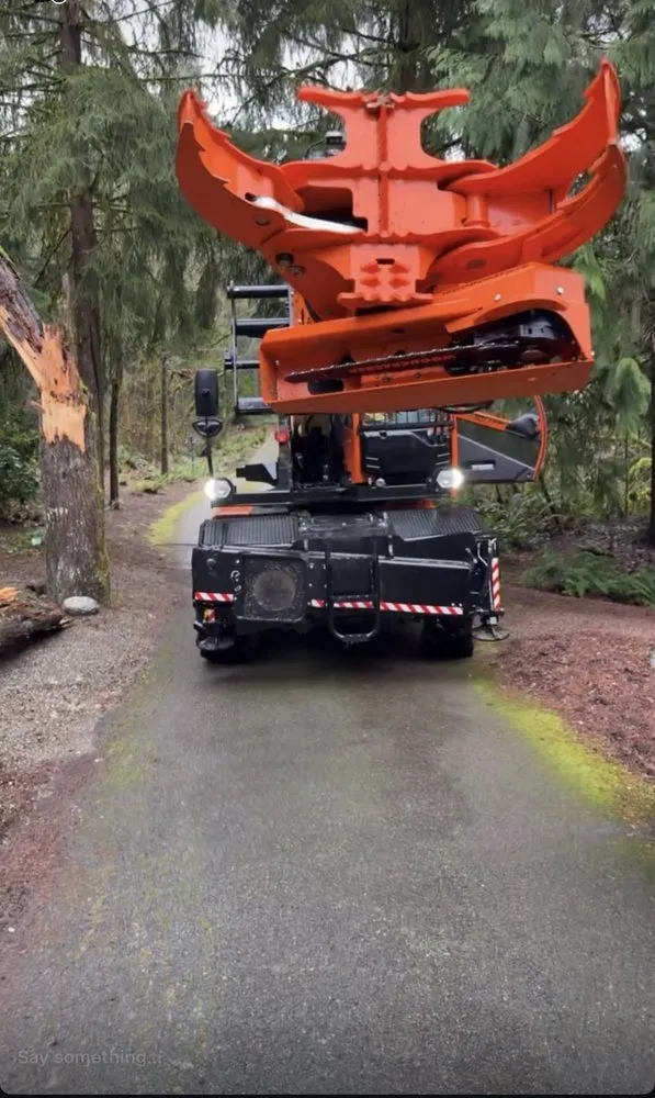 Reliable yard cleanup service in Issaquah, WA by MTS Tree & Landscape