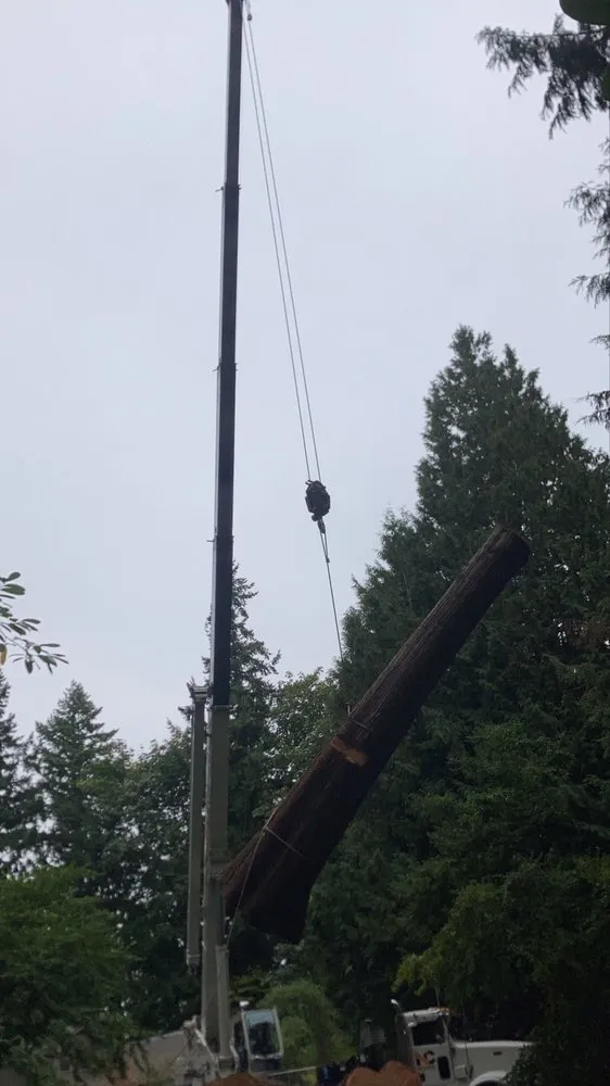 Expert outdoor landscaping near you in Issaquah, WA by MTS Tree & Landscape