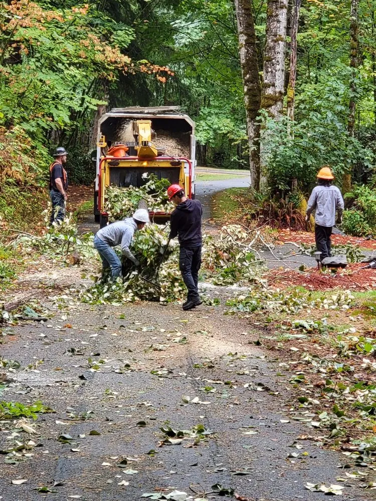 Local landscape installation in Issaquah, WA by MTS Tree & Landscape