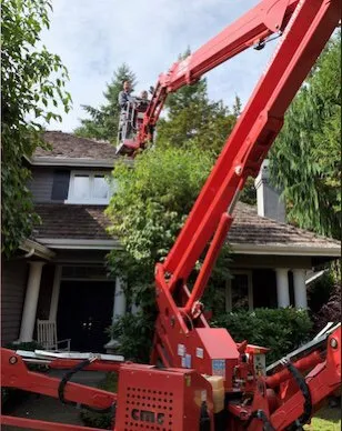 Reliable landscaping services for outdoor upgrades in Issaquah, WA by MTS Tree & Landscape