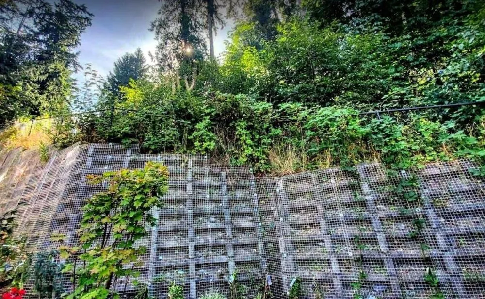 Expert yard maintenance for homes across Issaquah, WA - MTS Tree & Landscape