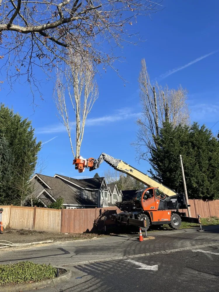 Expert landscape installation experts serving Issaquah, WA - MTS Tree & Landscape