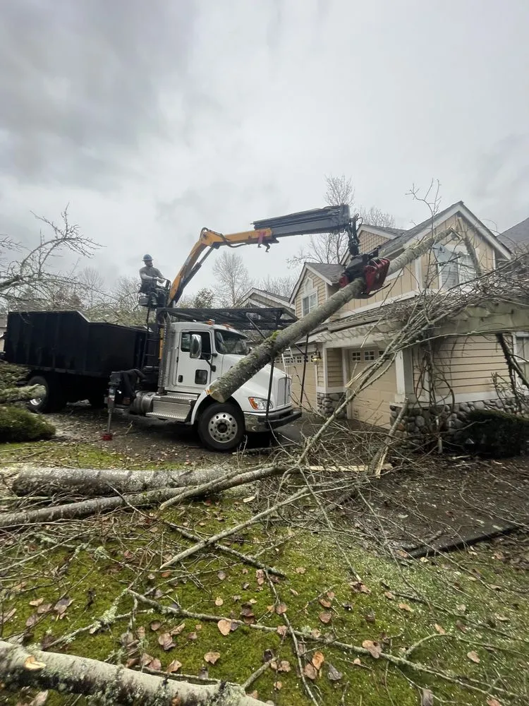 Custom outdoor landscaping in Issaquah, WA - MTS Tree & Landscape