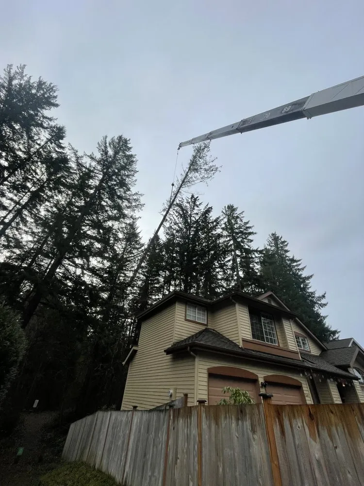 Affordable lawn care service experts serving Issaquah, WA - MTS Tree & Landscape