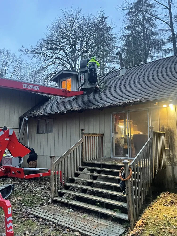 Custom lawn mowing service in Issaquah, WA by MTS Tree & Landscape