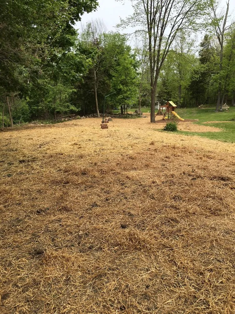 Professional yard maintenance for outdoor upgrades in Highland Mills, NY by MTTJ Property Maintenance