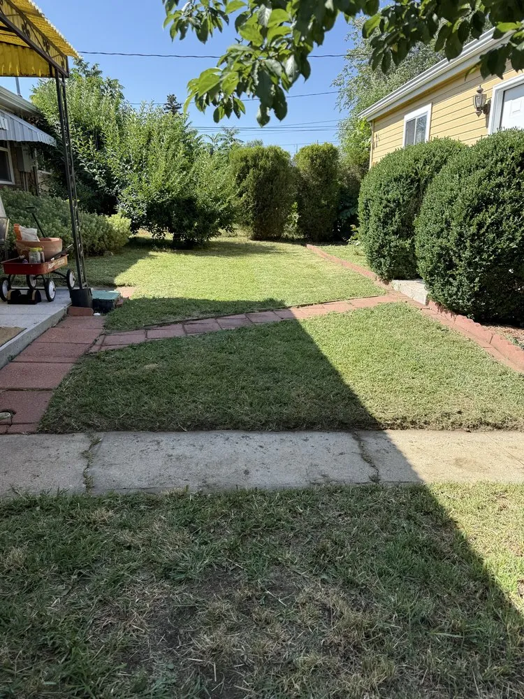 Trusted landscaping services with custom design across Lakewood, CO - Mty solutions