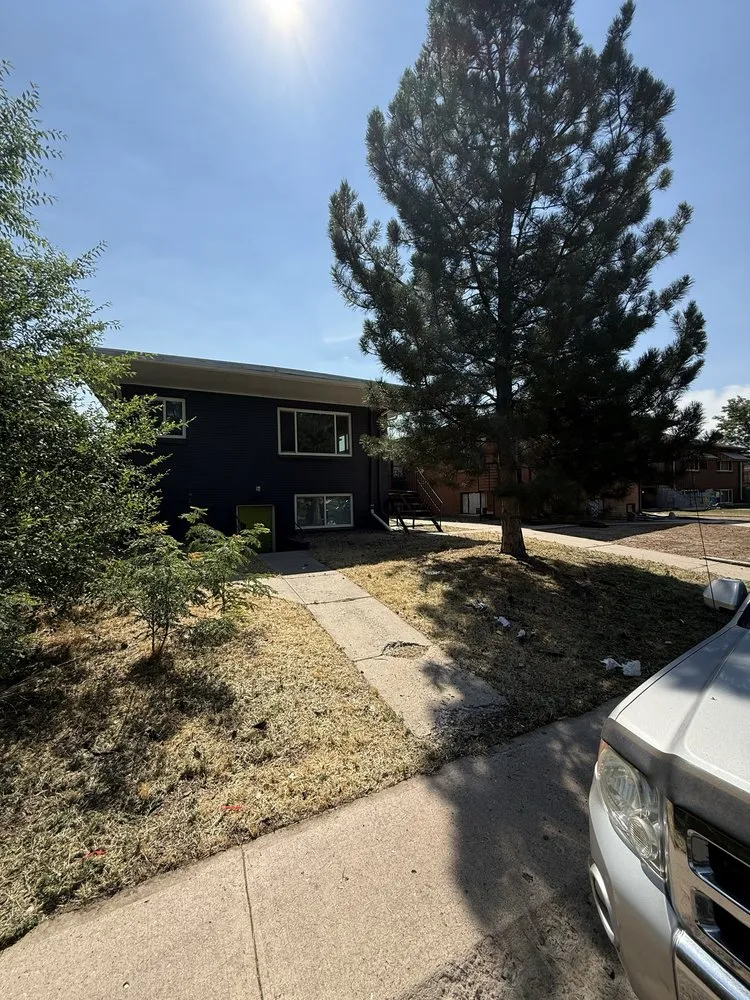 Expert landscaping services near you in Lakewood, CO by Mty solutions