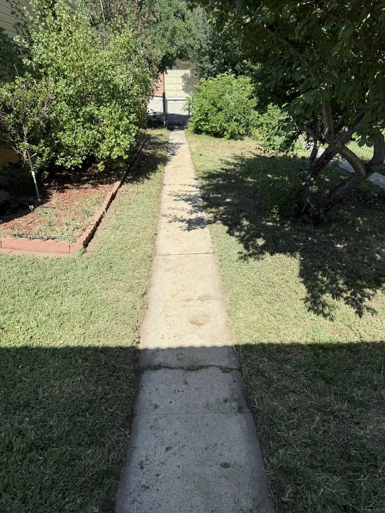 Professional landscaping services in Lakewood, CO by Mty solutions