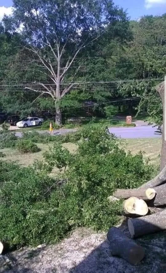 Professional landscape installation for homes across Dahlonega, GA - MTZ Brothers Tree Service & Landscapes