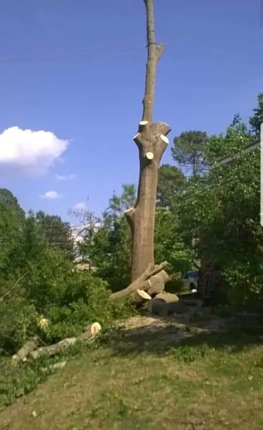 Custom residential landscaping in Dahlonega, GA - MTZ Brothers Tree Service & Landscapes