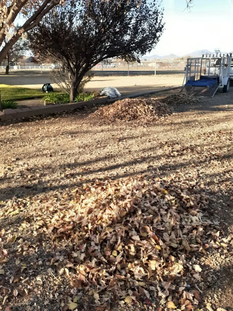 Professional outdoor landscaping for homes across Prescott Valley, AZ - MTZ Groundworx & Design