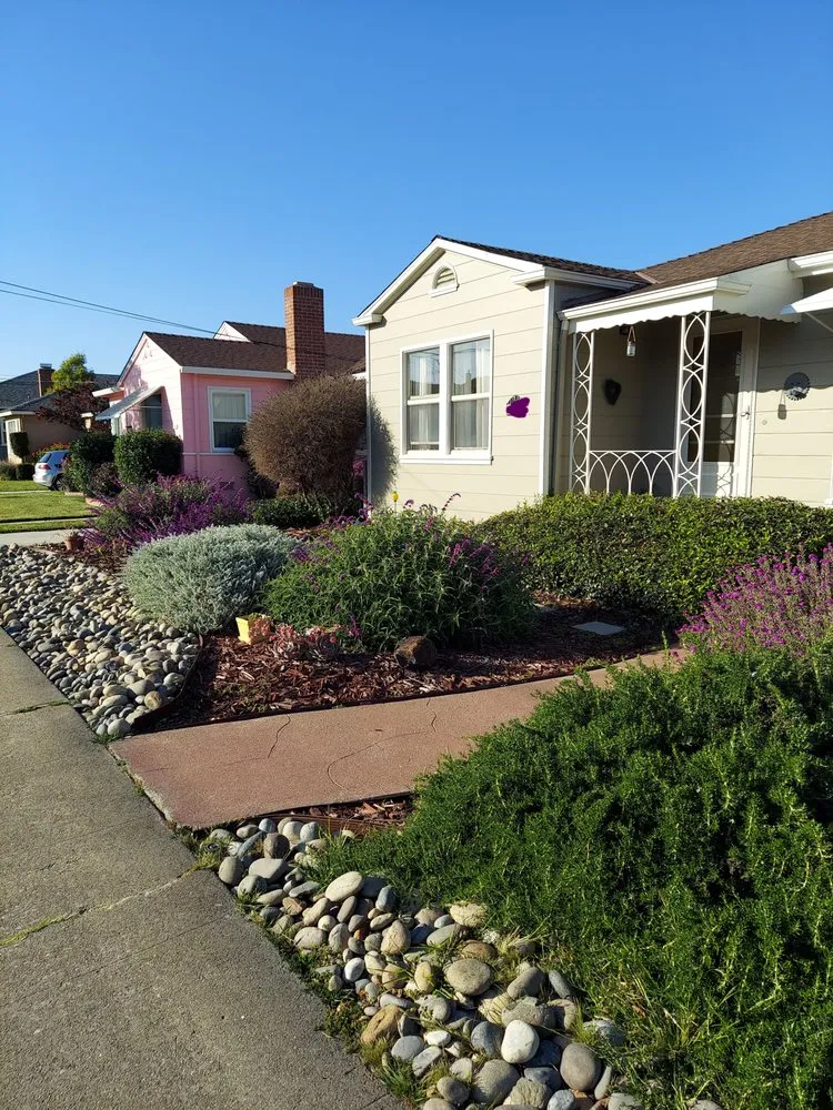Custom landscape installation in Antioch, CA by MTZ Landscape & Design