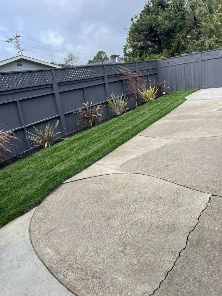 Trusted landscaping services in Antioch, CA - MTZ Landscape & Design