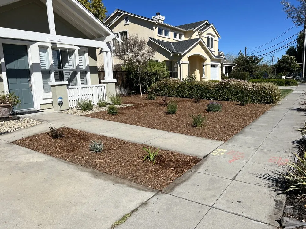 Affordable lawn care service for year-round maintenance across Antioch, CA - MTZ Landscape & Design