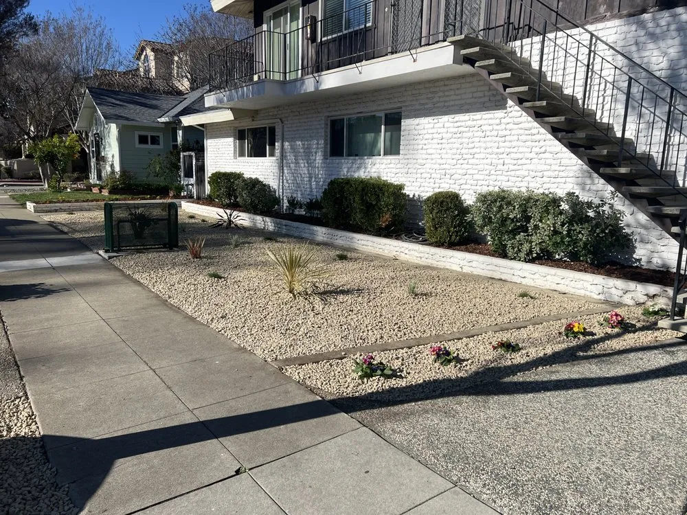 Expert lawn mowing service in Antioch, CA - MTZ Landscape & Design