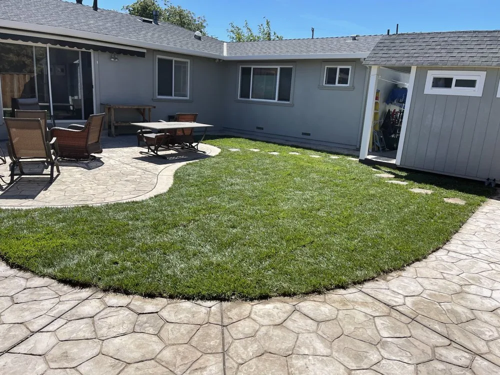 Professional lawn care service in Antioch, CA by MTZ Landscape & Design