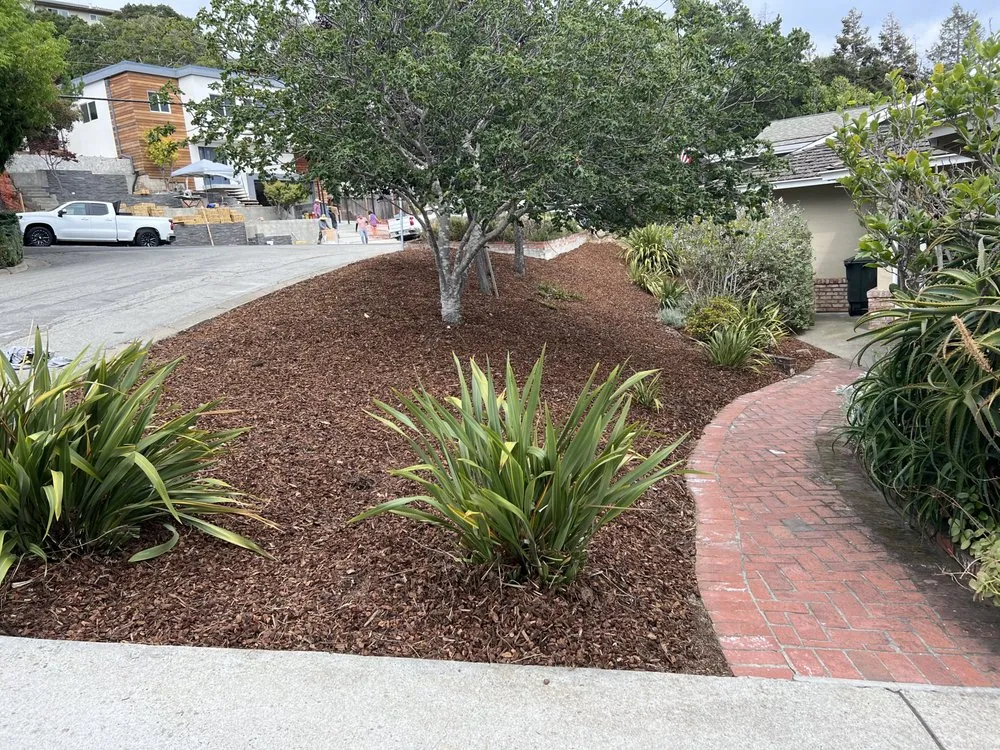 Trusted lawn care service in Antioch, CA by MTZ Landscape & Design