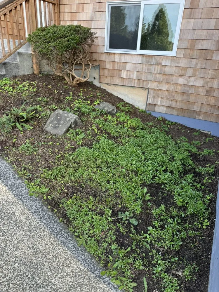 Reliable yard cleanup service experts serving Warrenton, OR - MTZ Landscape Maintenance