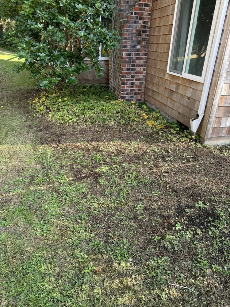 Professional lawn care service near you across Warrenton, OR - MTZ Landscape Maintenance