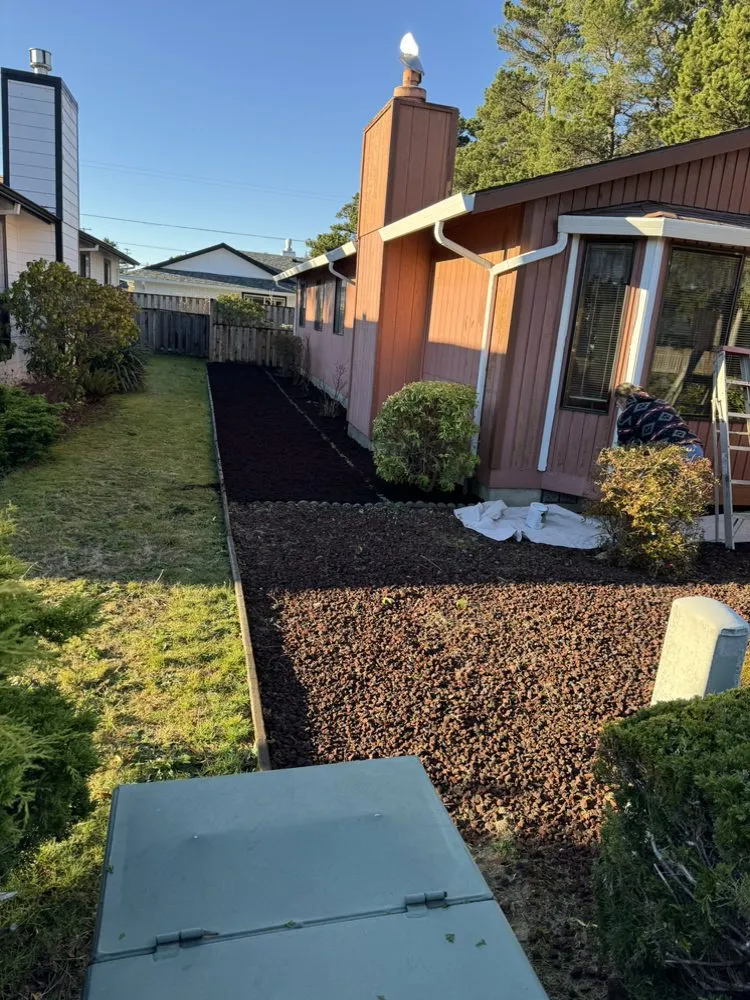 Local lawn care service experts serving Warrenton, OR - MTZ Landscape Maintenance