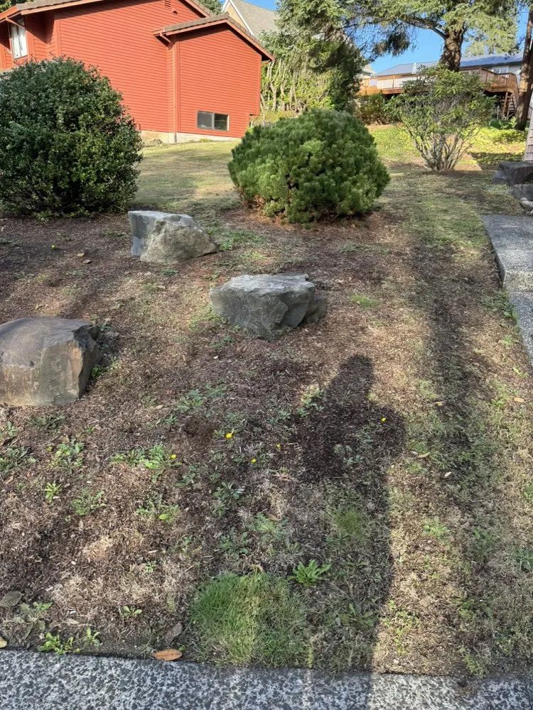 Expert lawn mowing service for year-round maintenance across Warrenton, OR - MTZ Landscape Maintenance