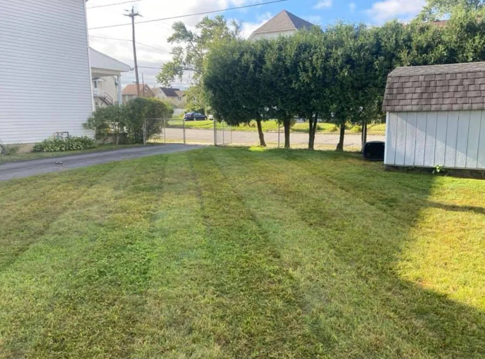 Custom lawn mowing service for beautiful yards in Scranton, PA by MTZ Landscaping & Powerwashing