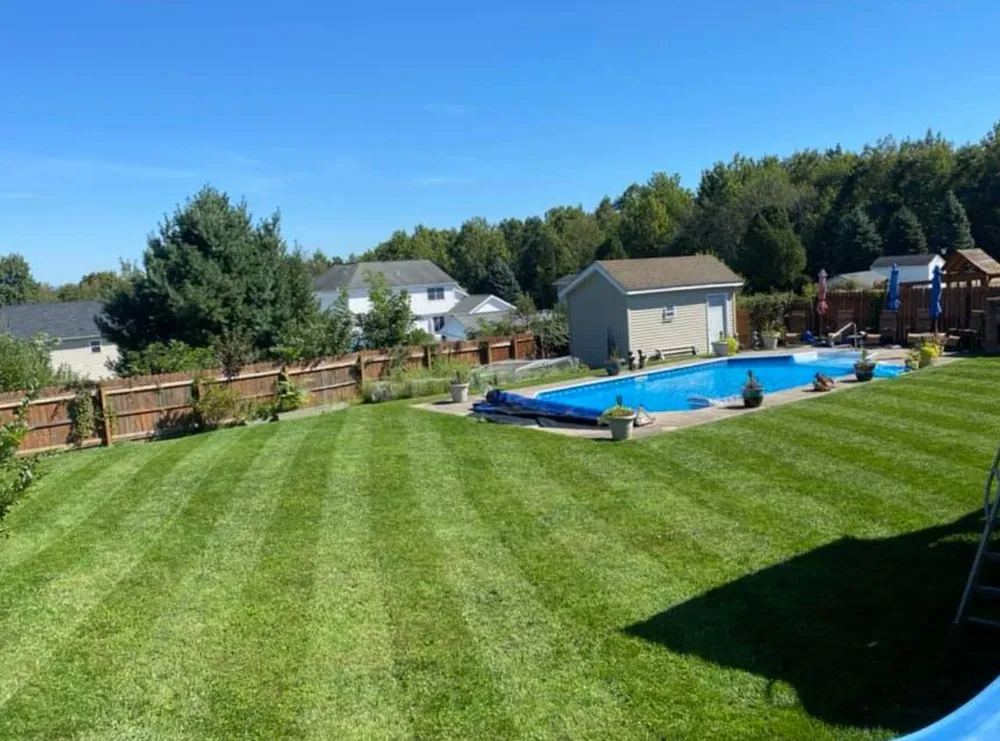 Expert residential landscaping for beautiful yards in Scranton, PA by MTZ Landscaping & Powerwashing