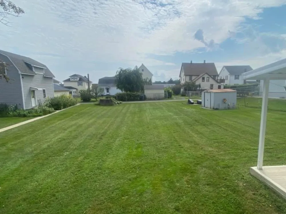 Affordable landscaping services experts serving Scranton, PA - MTZ Landscaping & Powerwashing