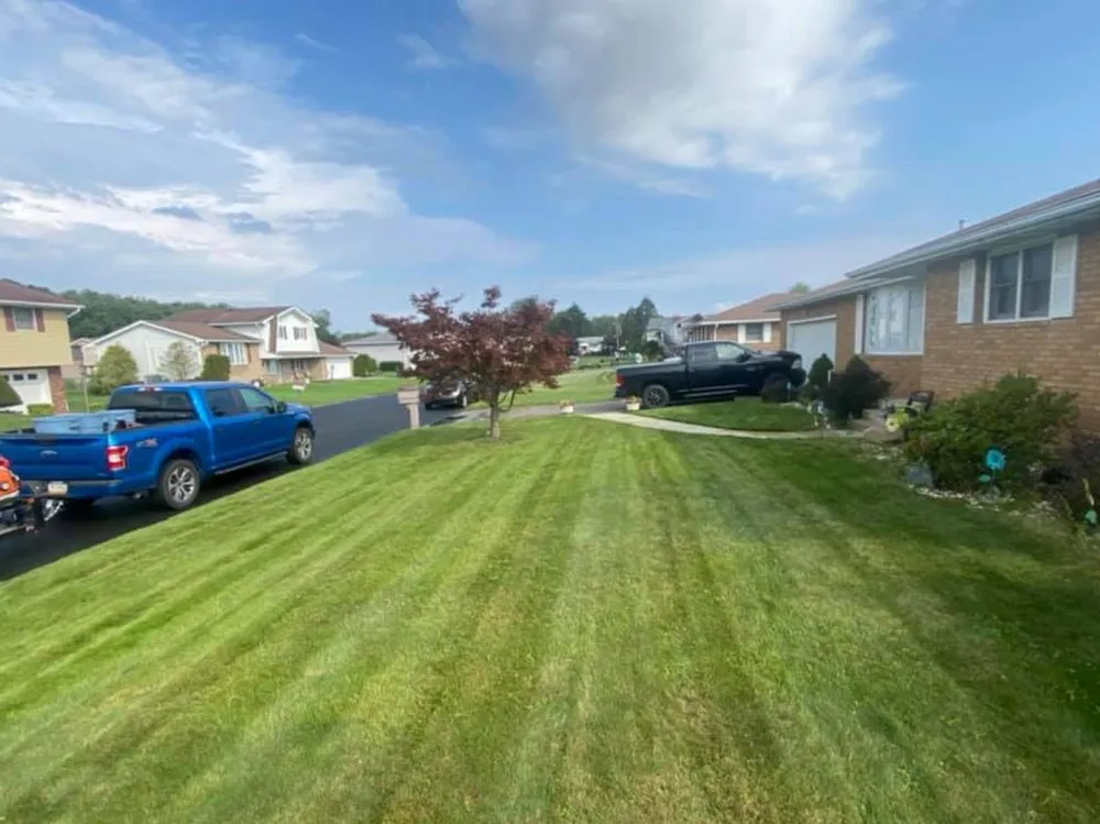 Expert garden landscaping near you in Scranton, PA by MTZ Landscaping & Powerwashing