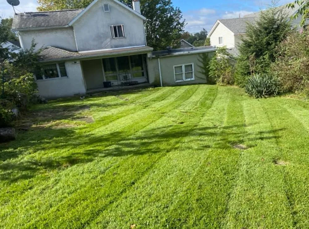 Expert yard maintenance in Scranton, PA - MTZ Landscaping & Powerwashing