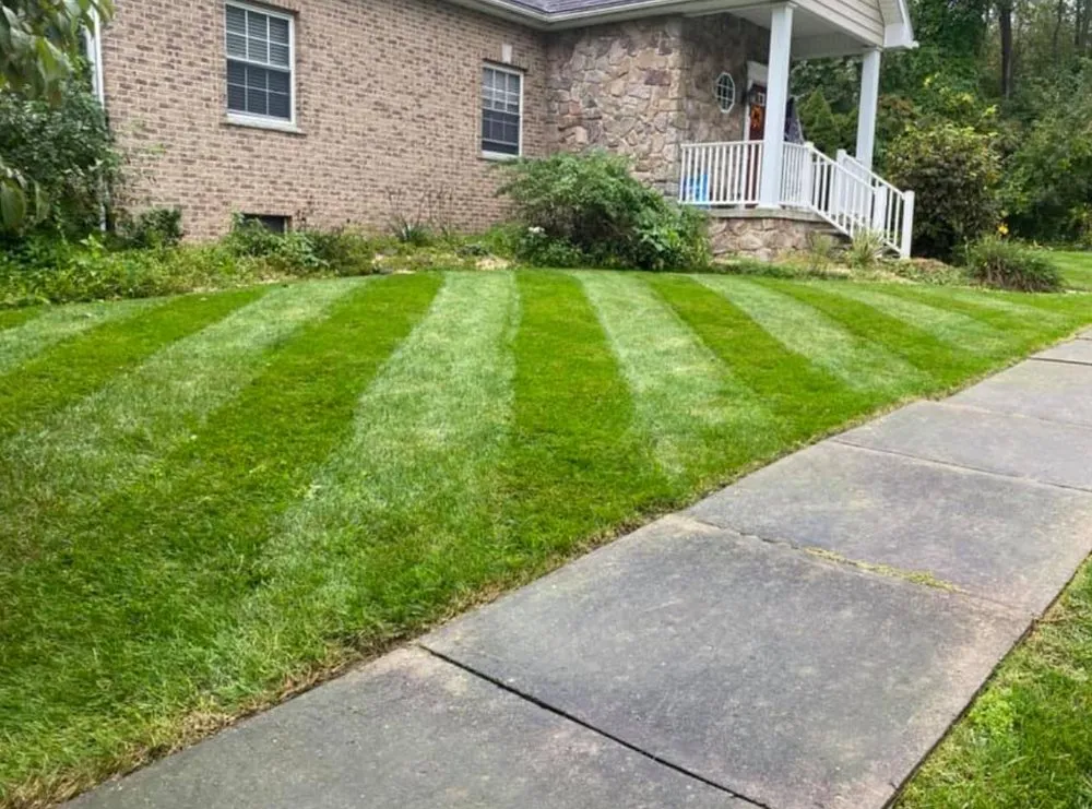 Custom yard cleanup service experts serving Scranton, PA - MTZ Landscaping & Powerwashing