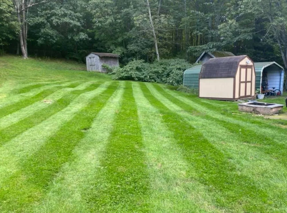 Custom landscape design for year-round maintenance across Scranton, PA - MTZ Landscaping & Powerwashing