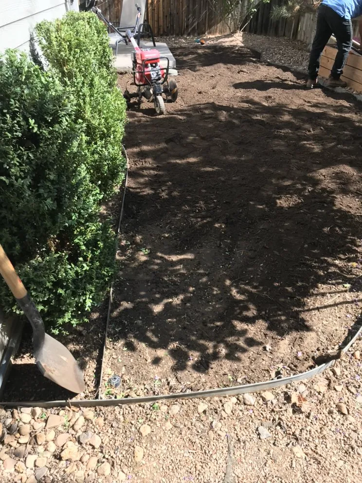 Local landscape installation for year-round maintenance in Denver, CO by Mtz Landscaping