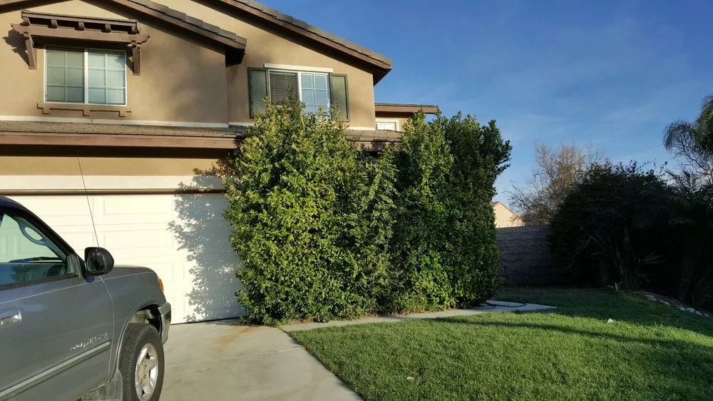 Local yard maintenance near you across Eastvale, CA - MTZ Landscaping