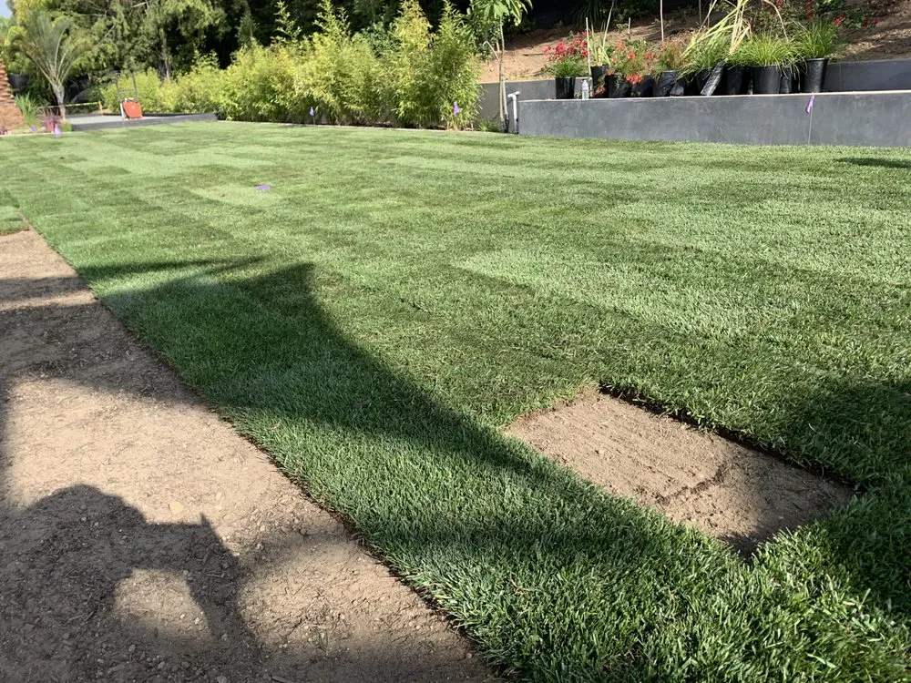 Local garden landscaping with custom design in Eastvale, CA by MTZ Landscaping