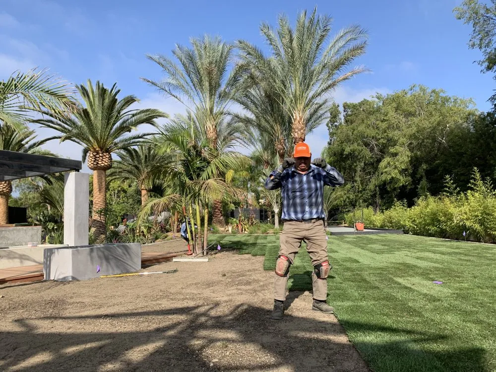 Affordable landscape installation in Eastvale, CA by MTZ Landscaping