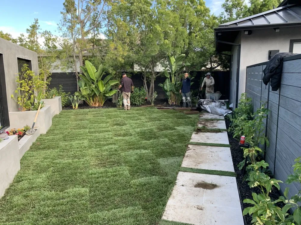 Local yard maintenance in Eastvale, CA - MTZ Landscaping