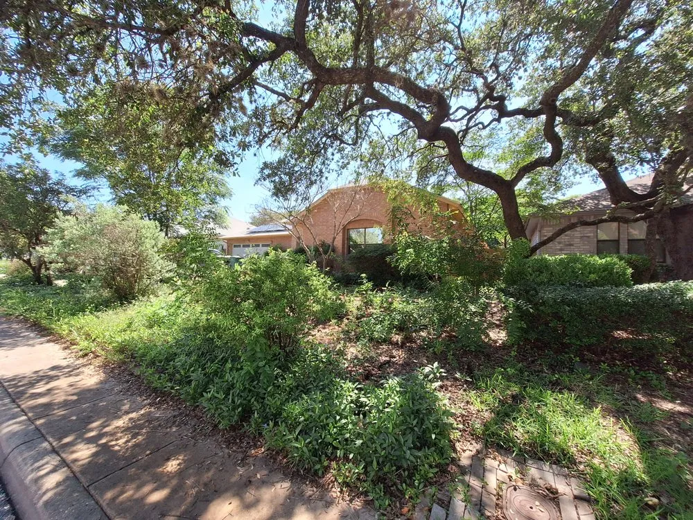 Custom lawn care service in San Antonio, TX by MTZ Lawn Care