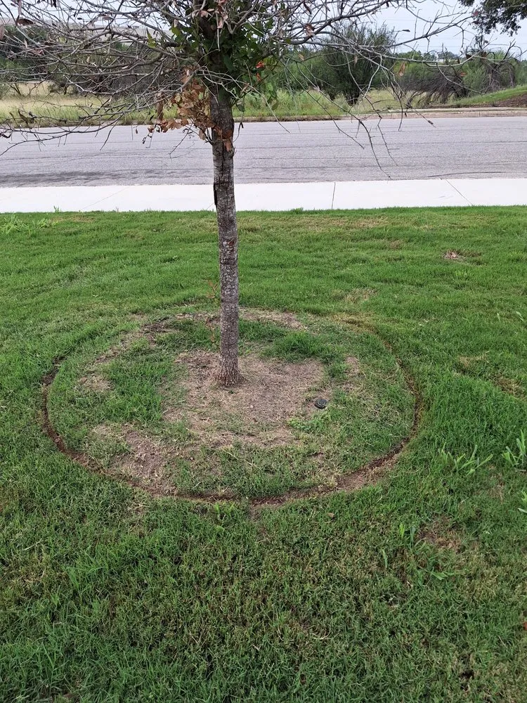 Top-rated yard maintenance for residential properties across San Antonio, TX - MTZ Lawn Care