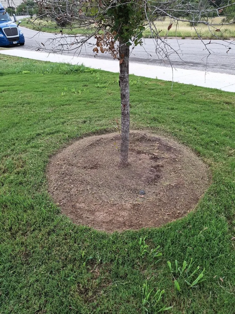 Top-rated outdoor landscaping in San Antonio, TX - MTZ Lawn Care