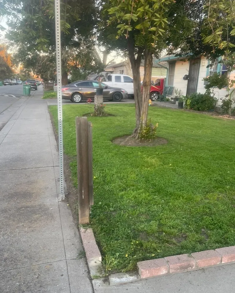 Top-rated yard cleanup service in Stockton, CA by Mtz Lawn Care